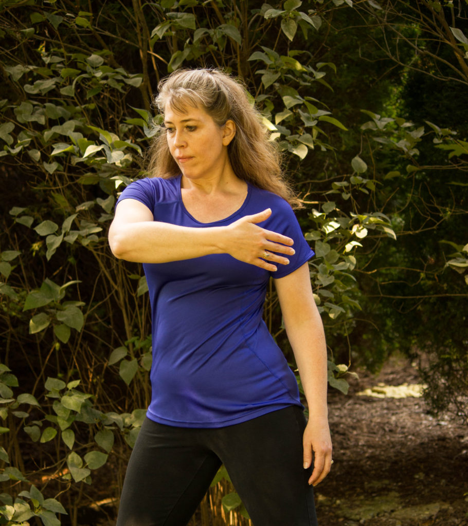 Tai Chi 4 Weavers (TC4W) – Amanda Robinette